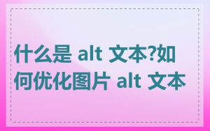 什么是 alt 文本?如何优化图片 alt 文本