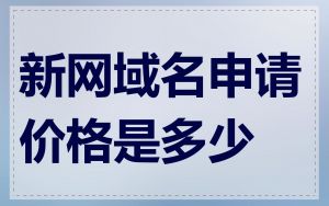 新网域名申请价格是多少