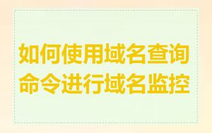 如何使用域名查询命令进行域名监控