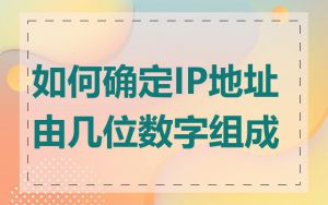 如何确定IP地址由几位数字组成