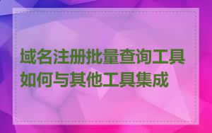 域名注册批量查询工具如何与其他工具集成