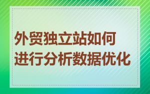 外贸独立站如何进行分析数据优化