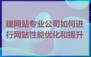 建网站专业公司如何进行网站性能优化和提升