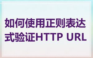 如何使用正则表达式验证HTTP URL