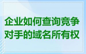 企业如何查询竞争对手的域名所有权