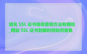 域名 SSL 证书信息查询方法有哪些_网站 SSL 证书到期时间如何查看