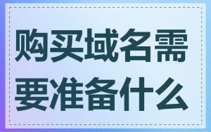 购买域名需要准备什么