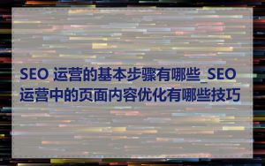 SEO 运营的基本步骤有哪些_SEO 运营中的页面内容优化有哪些技巧