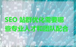 SEO 站群优化需要哪些专业人才和团队配合