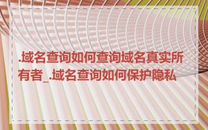 .域名查询如何查询域名真实所有者_.域名查询如何保护隐私