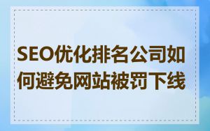 SEO优化排名公司如何避免网站被罚下线