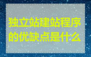 独立站建站程序的优缺点是什么