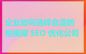 企业如何选择合适的短视频 SEO 优化公司