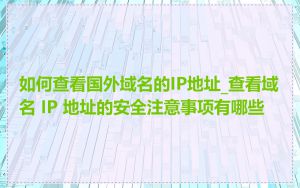 如何查看国外域名的IP地址_查看域名 IP 地址的安全注意事项有哪些