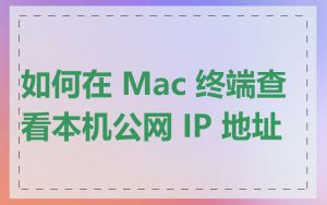 如何在 Mac 终端查看本机公网 IP 地址