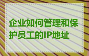 企业如何管理和保护员工的IP地址