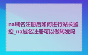 na域名注册后如何进行站长监控_na域名注册可以做转发吗