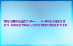 如何利用编程语言(Python、Java等)进行域名批量查询_有哪些针对特定行业或需求的域名批量查询工具