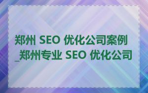 郑州 SEO 优化公司案例_郑州专业 SEO 优化公司