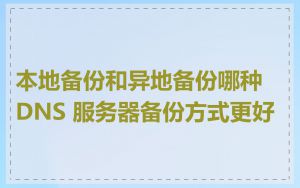 本地备份和异地备份哪种 DNS 服务器备份方式更好