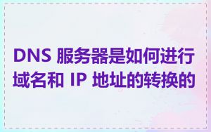 DNS 服务器是如何进行域名和 IP 地址的转换的