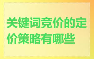 关键词竞价的定价策略有哪些