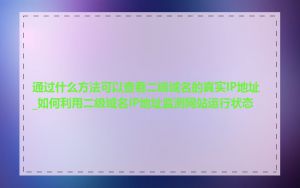 通过什么方法可以查看二级域名的真实IP地址_如何利用二级域名IP地址监测网站运行状态