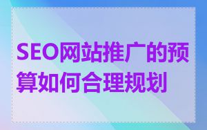 SEO网站推广的预算如何合理规划