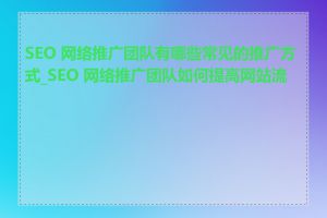 SEO 网络推广团队有哪些常见的推广方式_SEO 网络推广团队如何提高网站流量