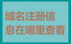 域名注册信息在哪里查看