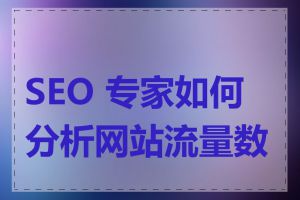 SEO 专家如何分析网站流量数据