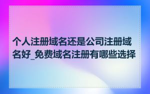 个人注册域名还是公司注册域名好_免费域名注册有哪些选择