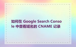 如何在 Google Search Console 中查看域名的 CNAME 记录