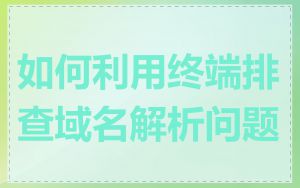 如何利用终端排查域名解析问题