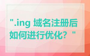 ".ing 域名注册后如何进行优化？"