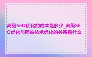 高级SEO优化的成本是多少_高级SEO优化与网站技术优化的关系是什么