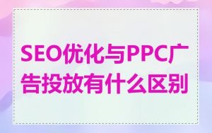 SEO优化与PPC广告投放有什么区别