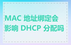 MAC 地址绑定会影响 DHCP 分配吗