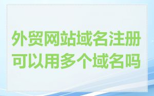 外贸网站域名注册可以用多个域名吗