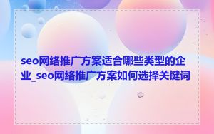 seo网络推广方案适合哪些类型的企业_seo网络推广方案如何选择关键词