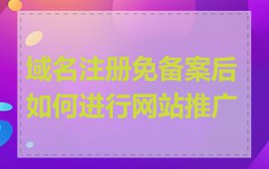 域名注册免备案后如何进行网站推广