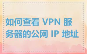 如何查看 VPN 服务器的公网 IP 地址