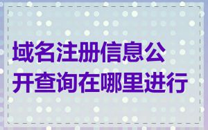 域名注册信息公开查询在哪里进行