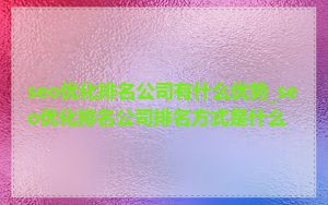 seo优化排名公司有什么优势_seo优化排名公司排名方式是什么