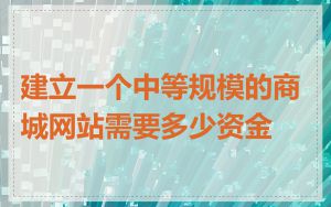 建立一个中等规模的商城网站需要多少资金