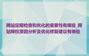 网站定期检查和优化的重要性有哪些_网站降权原因分析及优化修复建议有哪些