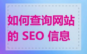 如何查询网站的 SEO 信息