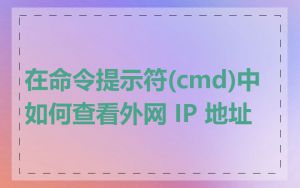 在命令提示符(cmd)中如何查看外网 IP 地址