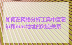 如何在网络分析工具中查看ip和mac地址的对应关系