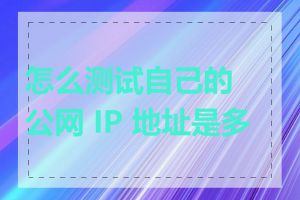 怎么测试自己的公网 IP 地址是多少